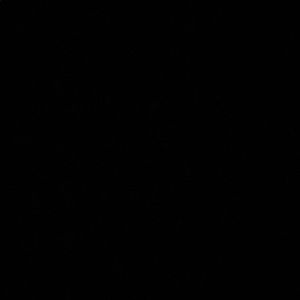 Meet your Posher, Camilla